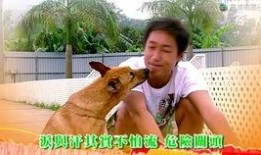 老友狗狗国语在线观看,重温经典，共度欢乐时光